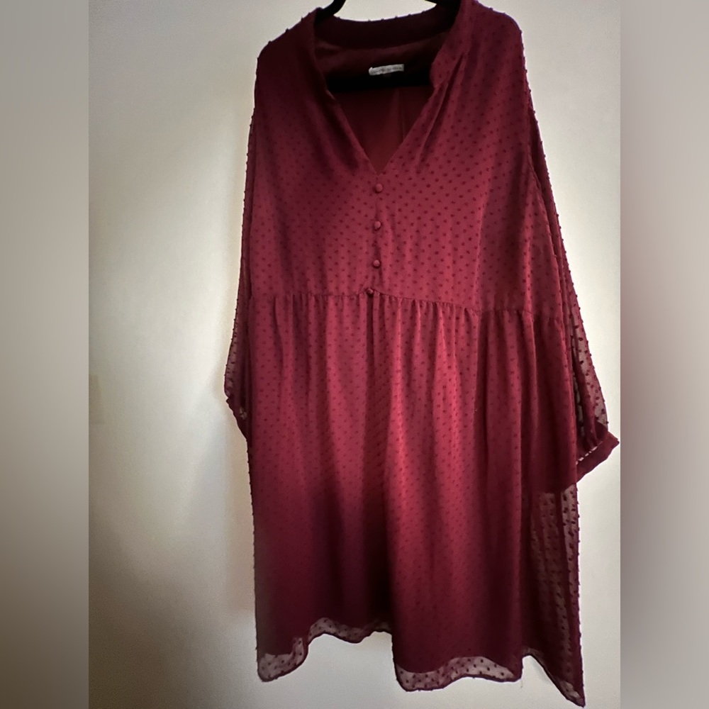 Women's Long Sleeve Clip Dot Babydoll Dress